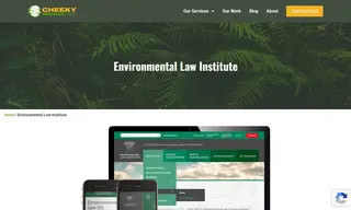 Preview of the Environmental Law Institute Case Study