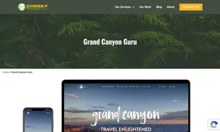 Preview of the Kaibab Media LLC Case Study