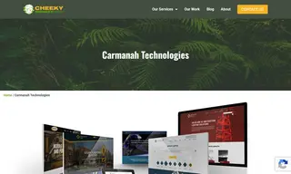Preview of the Sol by Carmanah Case Study