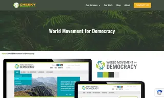 Preview of the World Movement for Democracy Case Study