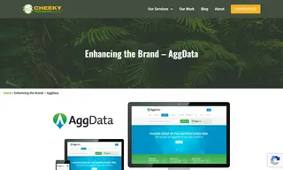 Preview of the AggData Case Study