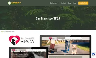 Preview of the San Francisco SPCA Case Study