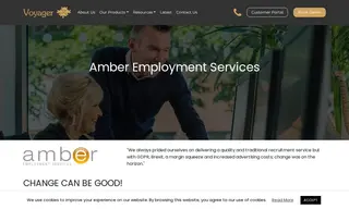 Preview of the Amber Employment Services Case Study