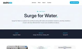 Preview of the Surge for Water Case Study