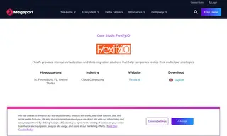 Preview of the Flexify.IO Case Study