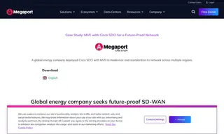 Preview of the Global Energy Company Case Study