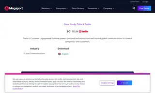 Preview of the Telin Case Study