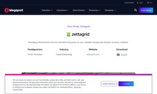 Preview of the Zettagrid Case Study