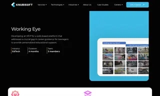 Preview of the Working Eye Case Study