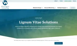 Preview of the Lignum Vitae Solutions Case Study