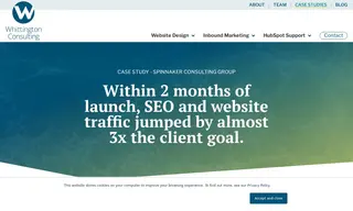 Preview of the Spinnaker Consulting Group Case Study