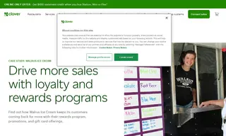 Preview of the Walrus Ice Cream Case Study
