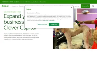 Preview of the Chateau 4 Paws Case Study
