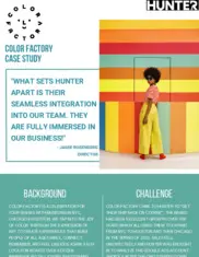 Preview of the Color Factory Case Study