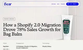 Preview of the Bag Balm Case Study