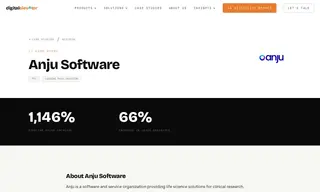 Preview of the Anju Software Case Study