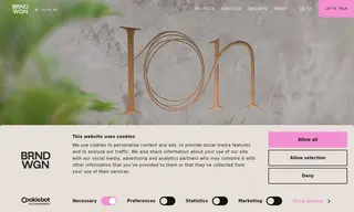 Preview of the ION Case Study