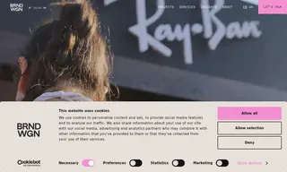 Preview of the Class Optical Case Study