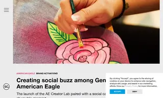 Preview of the American Eagle Case Study
