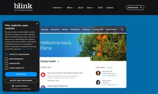Preview of the Healthcare Client Case Study