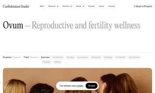 Preview of the Ovum Case Study