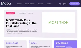 Preview of the MORE THAN Insurance Case Study