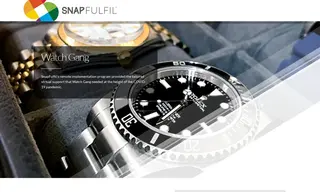 Preview of the Watch Gang Case Study