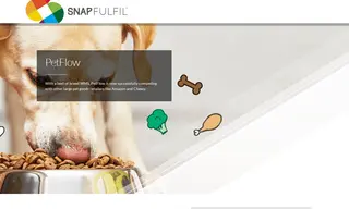 Preview of the PetFlow Case Study