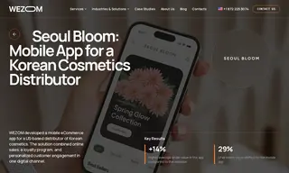 Preview of the US-based Distributor of Korean Cosmetics Case Study