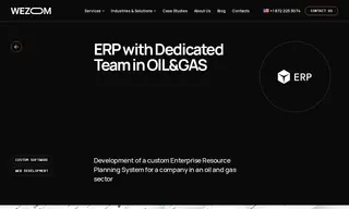 Preview of the Client in the Oil & Energy Sector Case Study