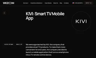 Preview of the KIVI Case Study