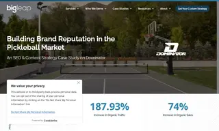 Preview of the Dominator Case Study