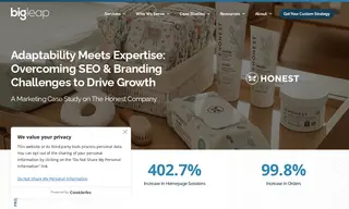 Preview of the The Honest Company Case Study