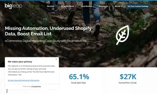 Preview of the Redmond Life Case Study