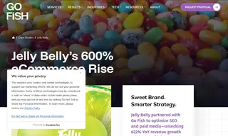 Preview of the Jelly Belly Candy Company Case Study