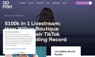 Preview of the Willow Boutique Case Study