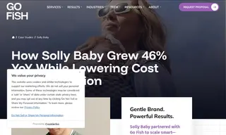 Preview of the Solly Baby Case Study