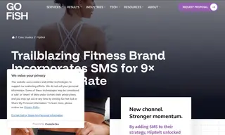 Preview of the FlipBelt Case Study