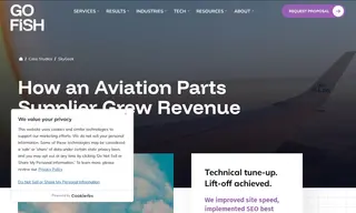 Preview of the SkyGeek Case Study