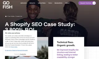 Preview of the Shopify Case Study