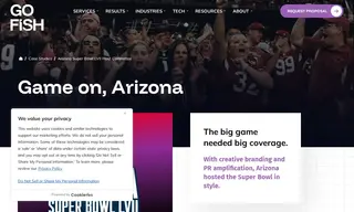 Preview of the Arizona Super Bowl Host Committee Case Study