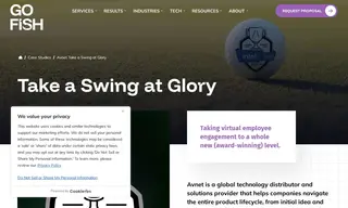 Preview of the Avnet Case Study