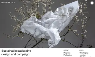 Preview of the Progress Packaging Case Study