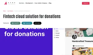 Preview of the Fintech Company (payment Platform for Donations) Case Study