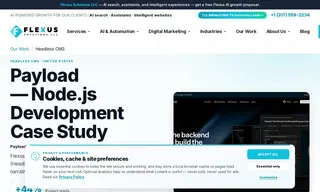 Preview of the Payload Case Study