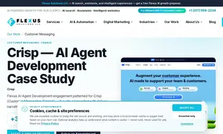 Preview of the CRISP Case Study