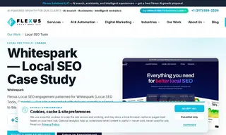 Preview of the Whitespark Case Study