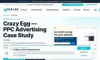 Preview of the Crazy Egg Case Study