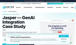 Preview of the Jasper Case Study
