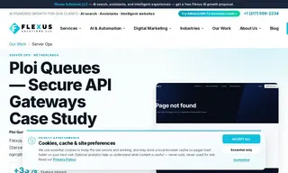 Preview of the Ploi Queues Case Study